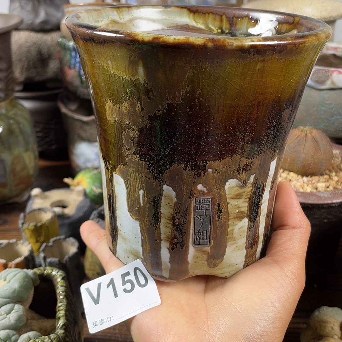 默认微次 限时福利 坛子姐花盆