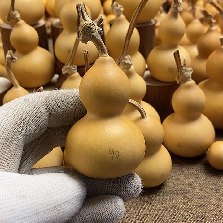 文玩葫芦 完美主义者 慎拍90