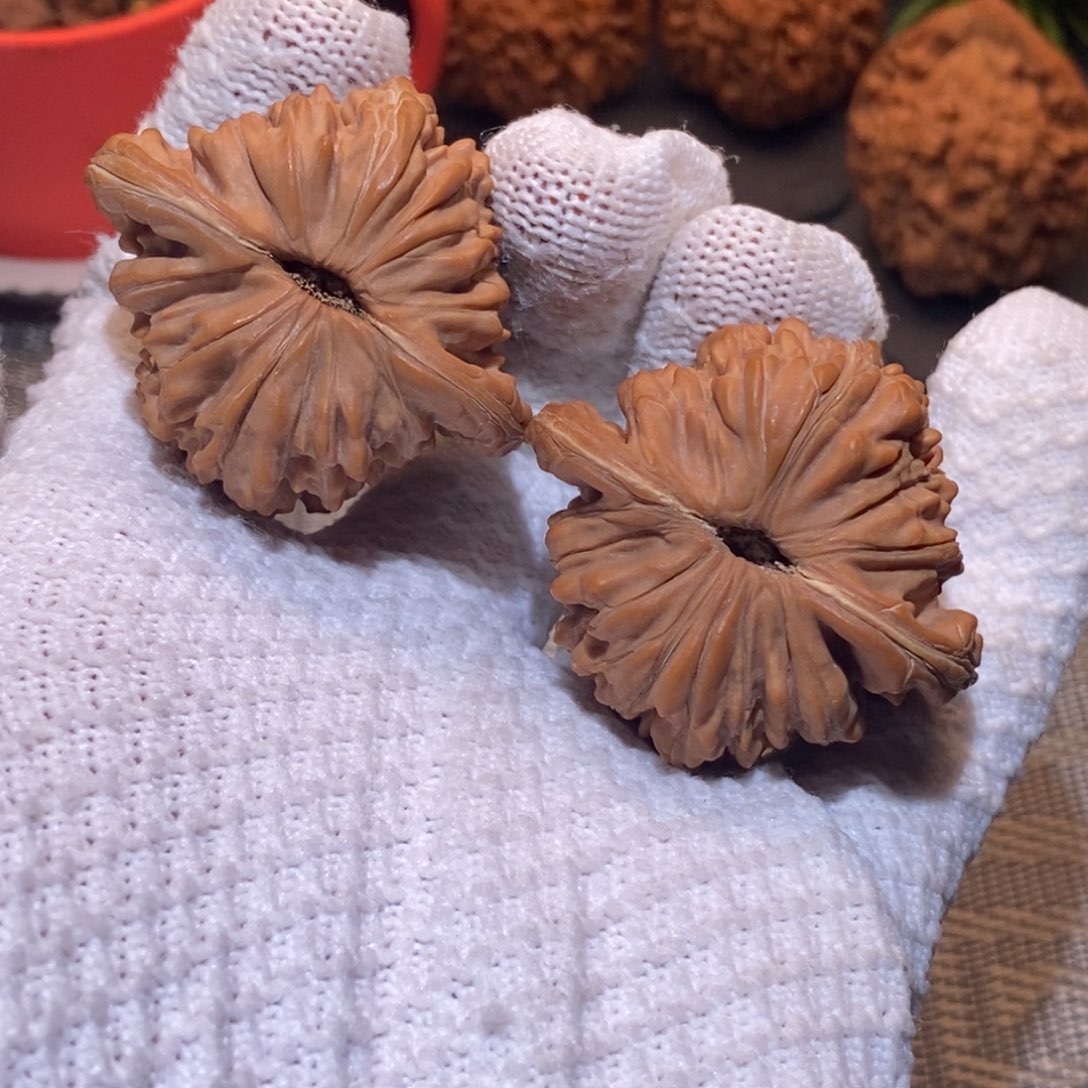 45尺 全品无修白茬 四座楼