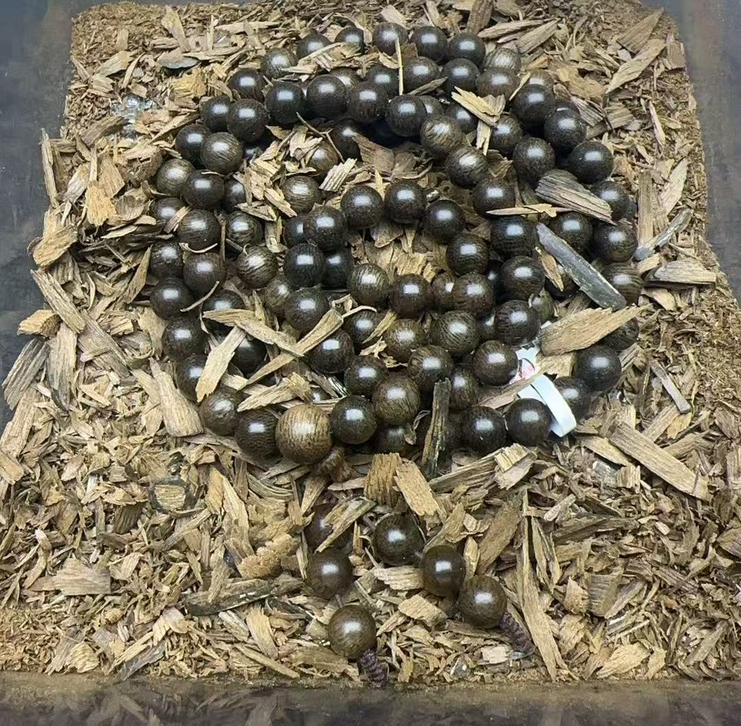 沉香老九优选/d063