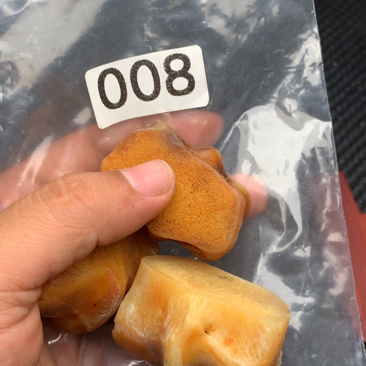 大果紫檀（缅甸花梨）