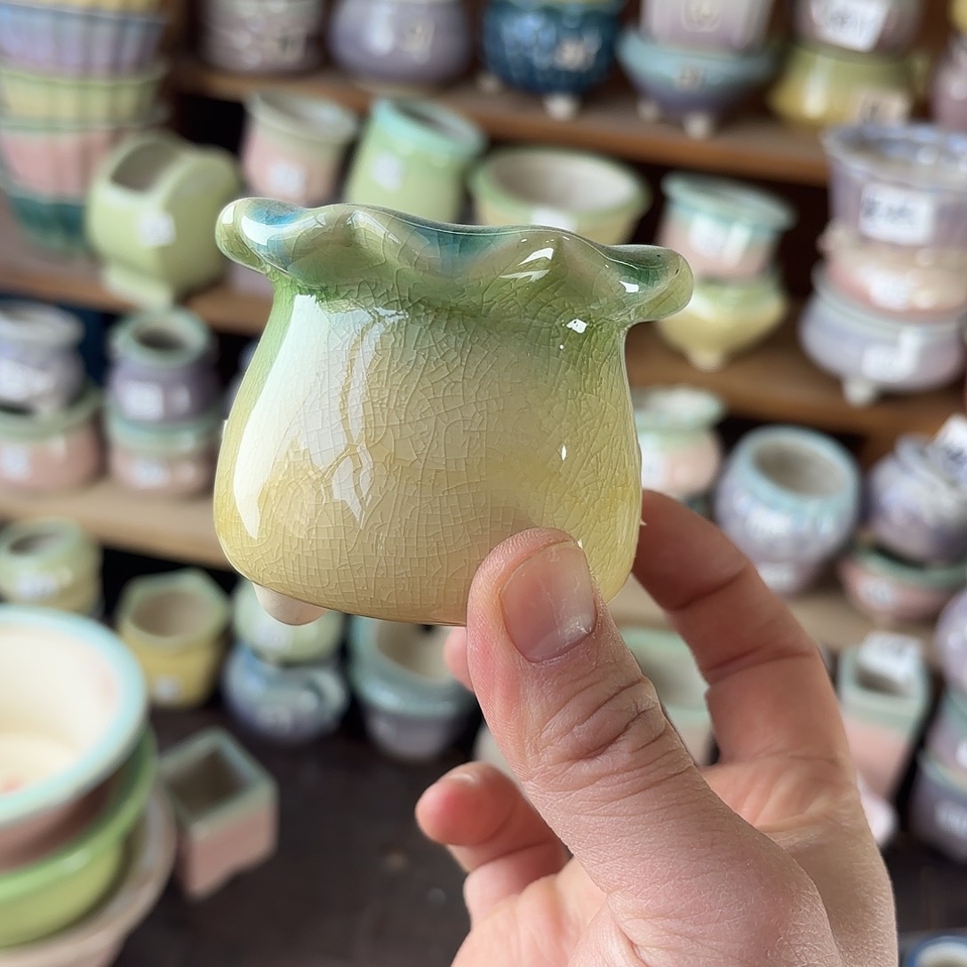 陶瓷量货/口4.5-7深浅搭配发6个