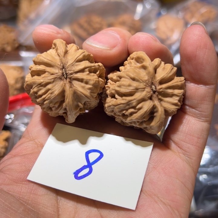 核桃全品无修老树鸡心