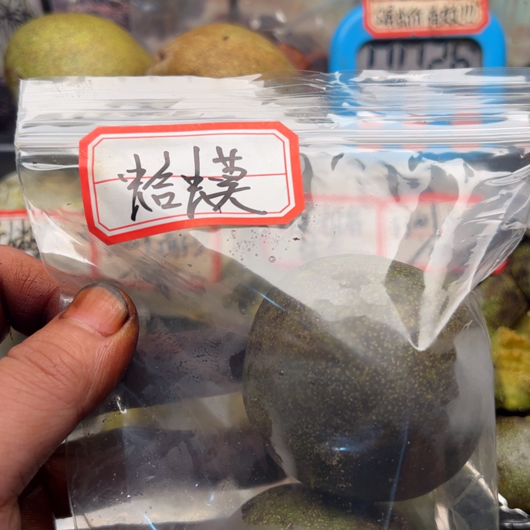 人***逝淋漓尽致中央音乐学院