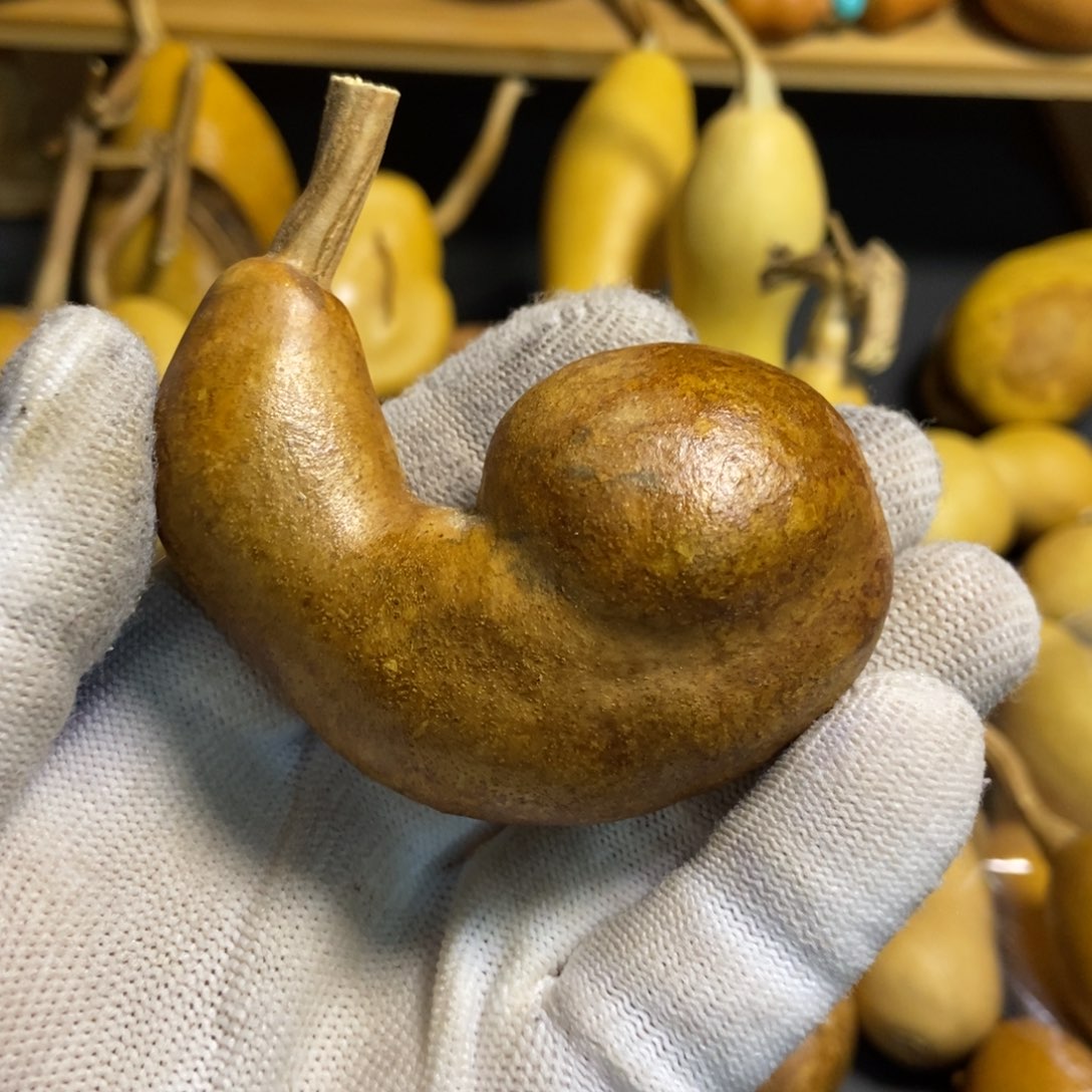 紫**飞葫芦葫芦真的