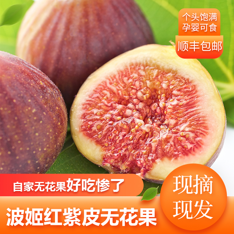 （偏远地区明年再买）云南波姬红无花果鲜果树上自然成熟