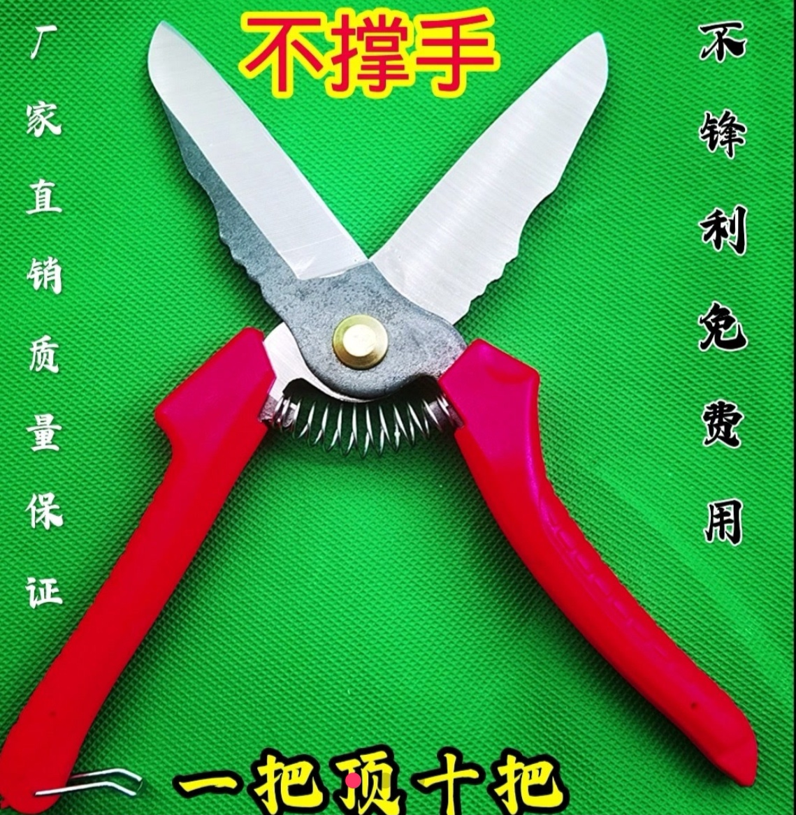 大蒜剪刀小剪刀专用剪刀免磨不撑手