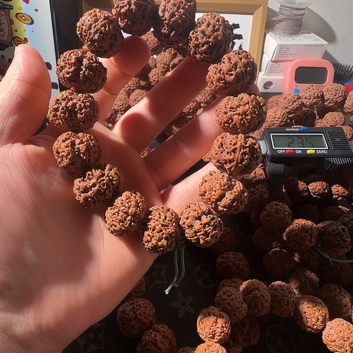 燕***子吊坠金刚菩提大金刚菩提一物一图