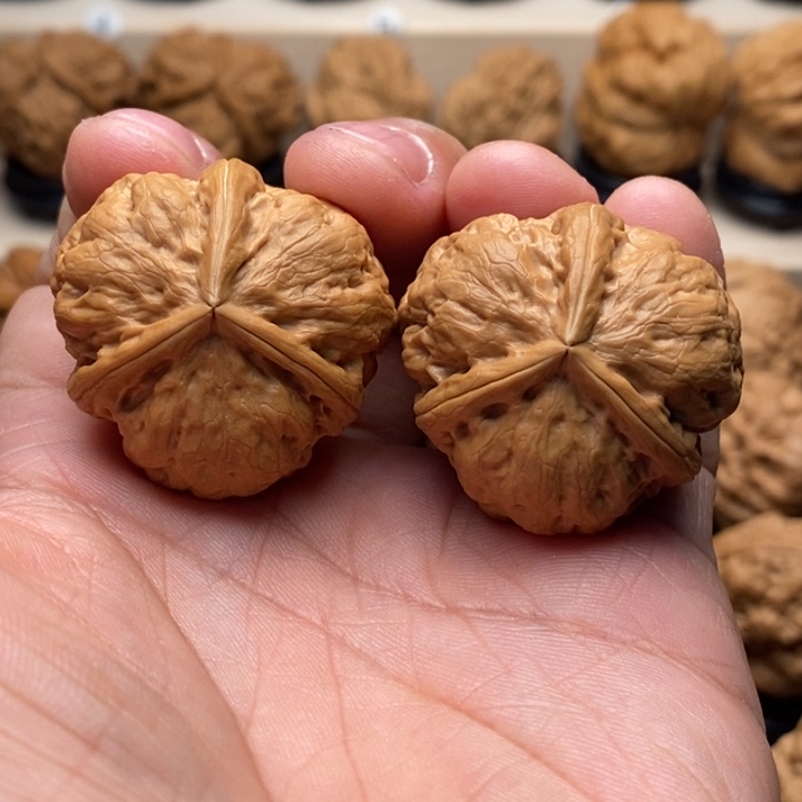 邹****文玩核桃把件………………………………