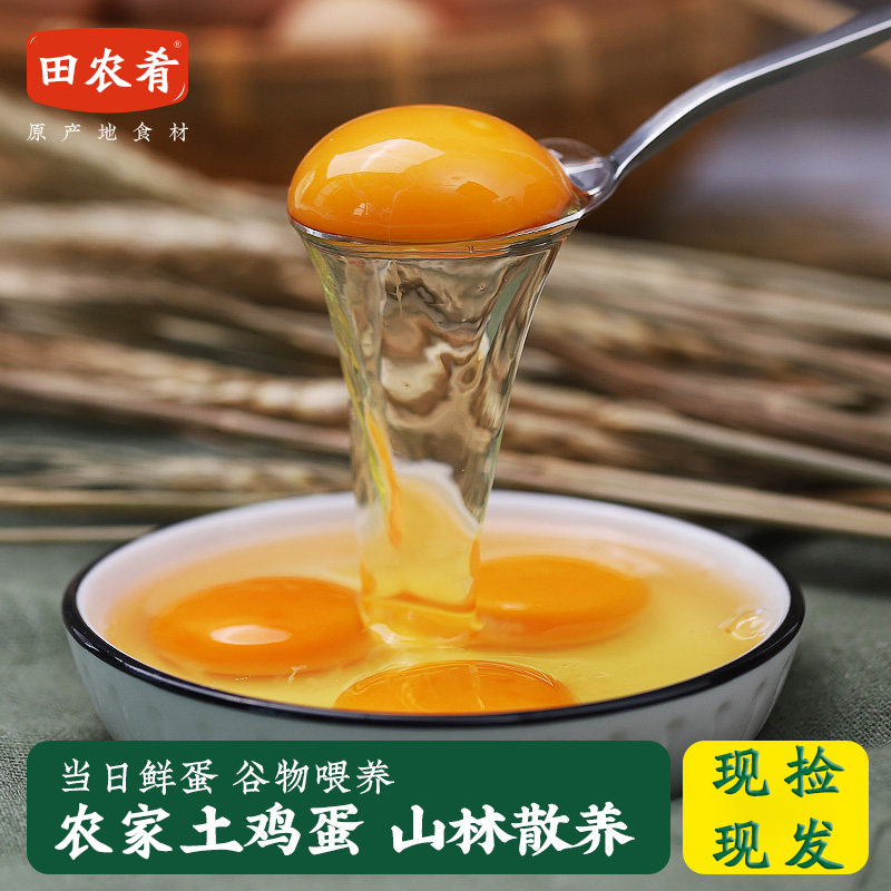 田农肴【50枚装】农家土鸡蛋农村散养谷物喂养鸡蛋现捡现发
