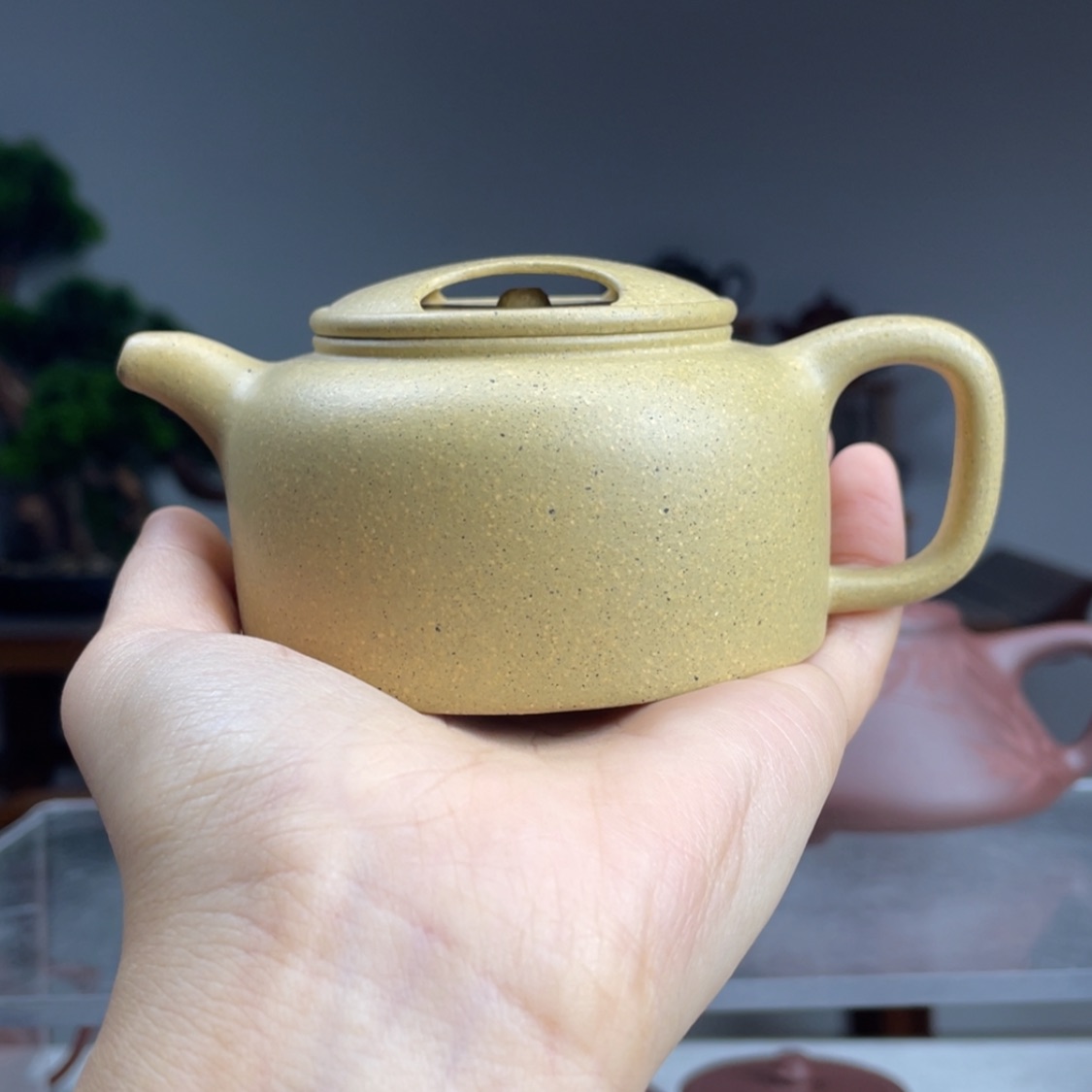 【闪购商品】紫砂茶壶芝麻绿牛盖容量150cc