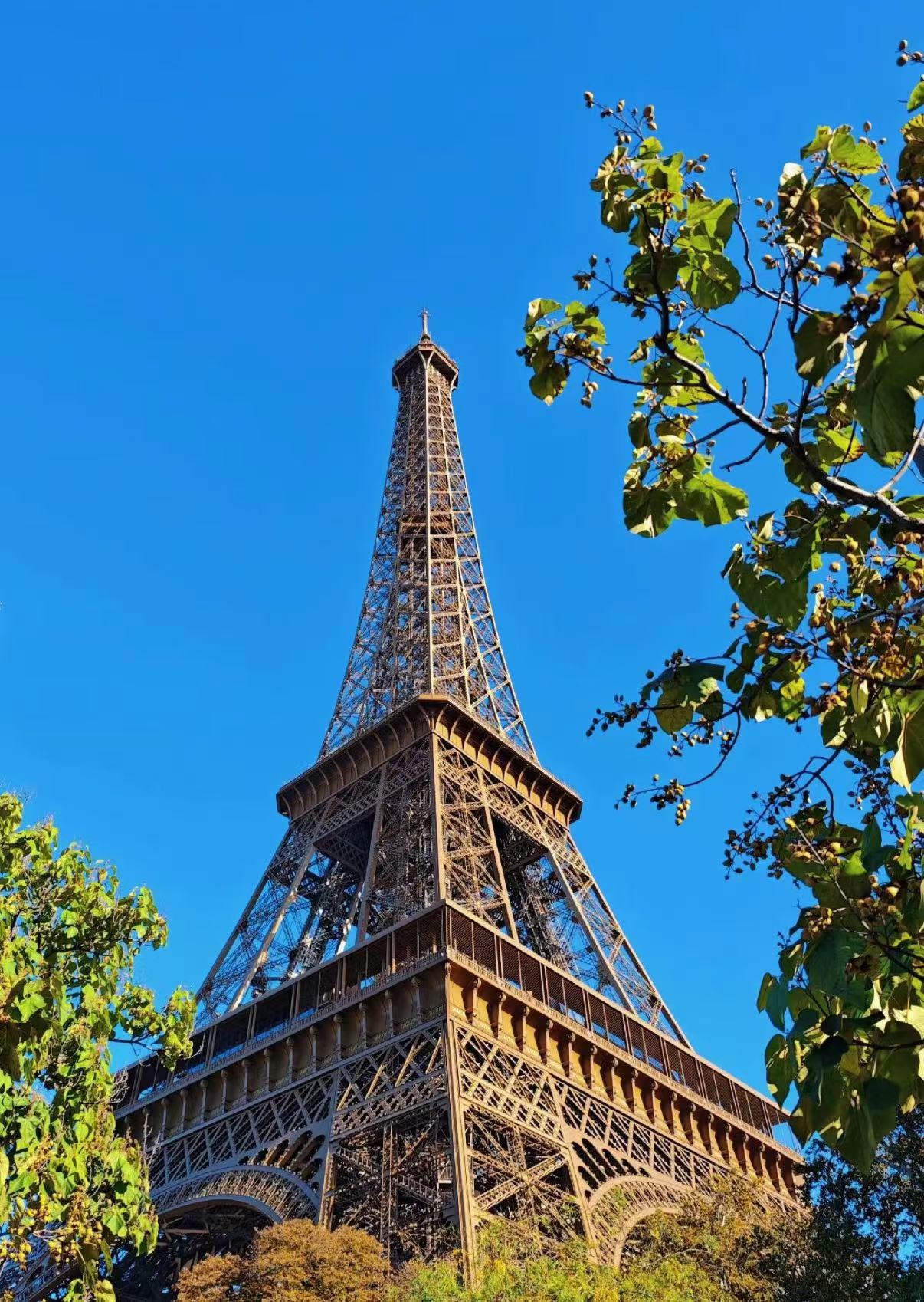 (W3)-XF2024-88款时尚男士长袖T恤1.13