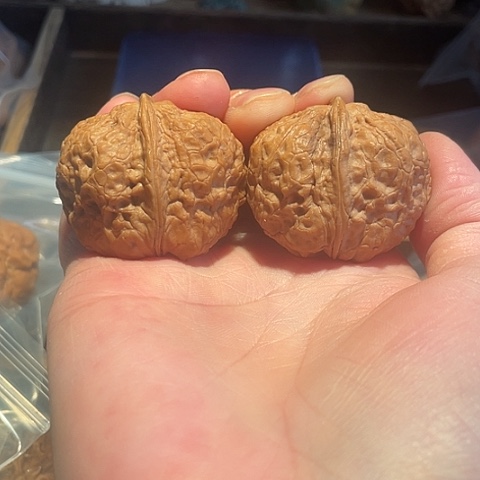 文玩核桃把件鼻烟壶带彩40