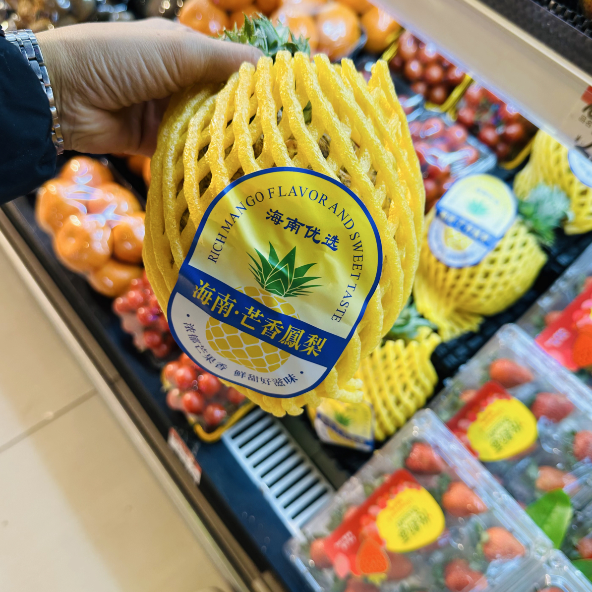 【新品】芒果凤梨毛重约900g/个