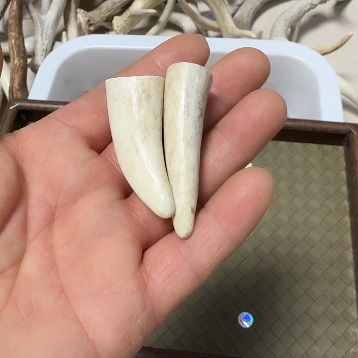 香榧木工艺品鹿角挂件呦