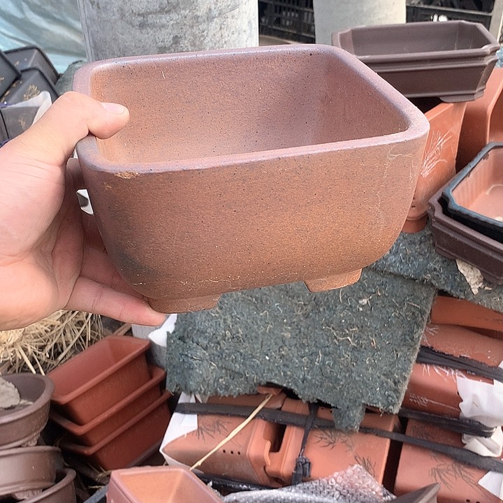 紫砂哈哈真的是太喜欢啦