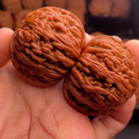 文玩核桃把件秦岭山脉核桃