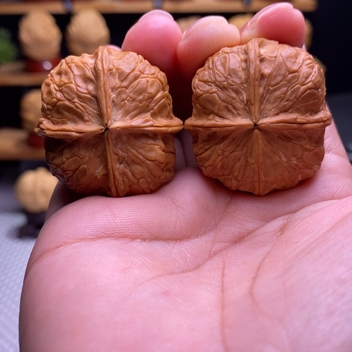 木质类云铁柿饼子四棱9号