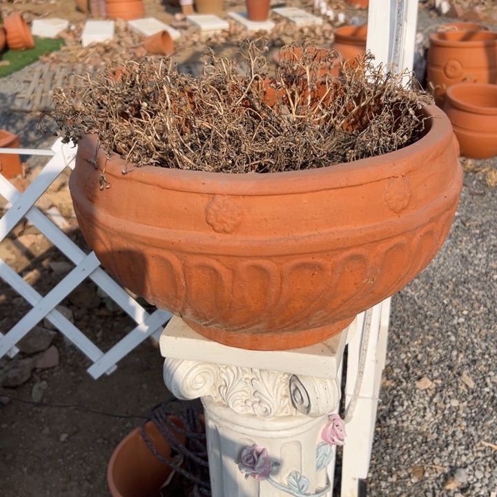 红陶26×22 高温加厚两个