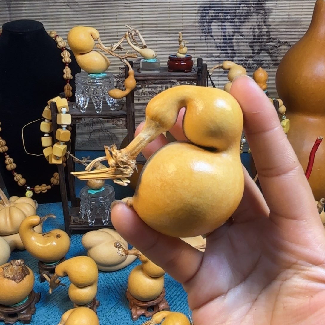 心***敌精品蚂蚁嘎嘎漂亮哦