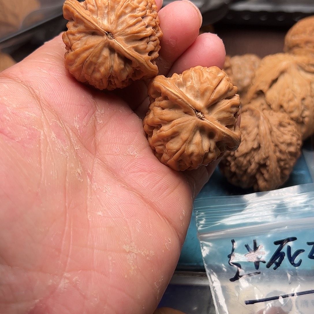 迷***颖文玩核桃老树凤凰台