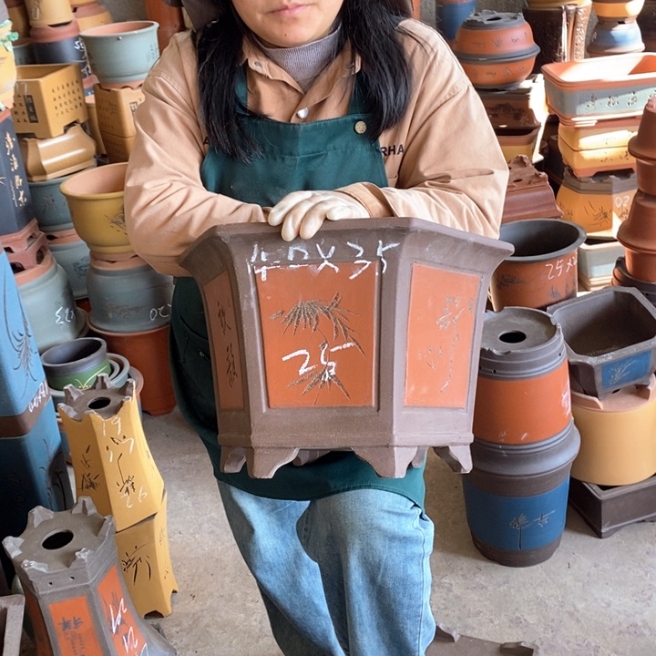 紫砂花盆盆栽花卉苗木种植