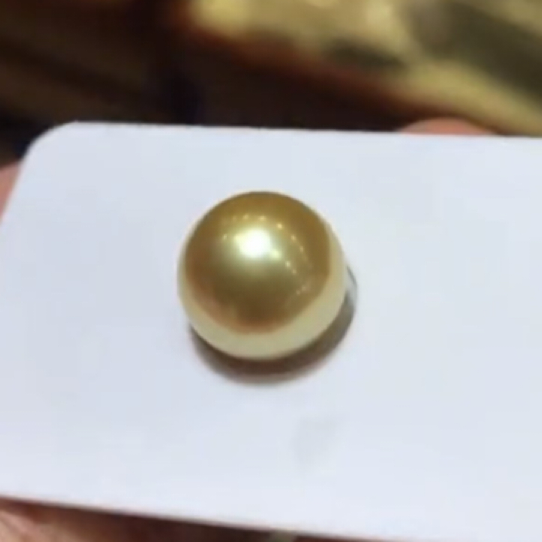 13-14mm 金色南洋珠裸珠 茶金色
