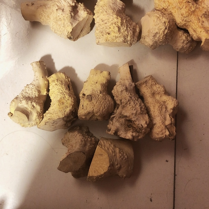 暴***爆木木料木料木料木料