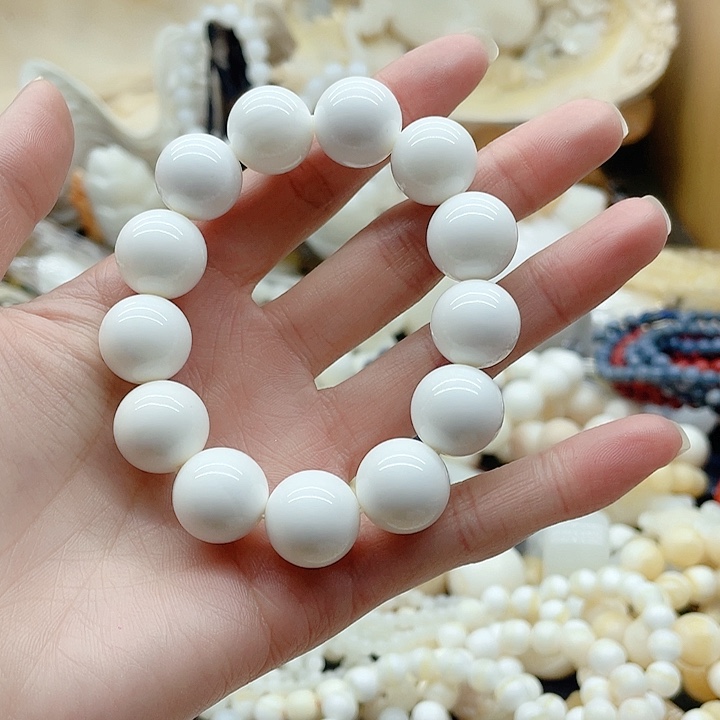 贝壳贝壳贝壳贝壳