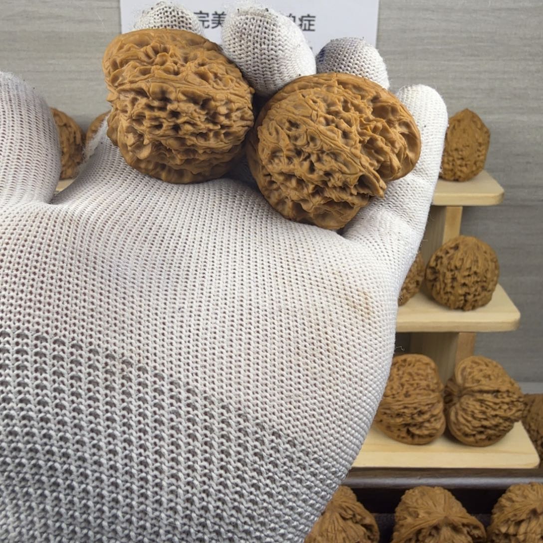 /***了把件文玩核桃福利多多