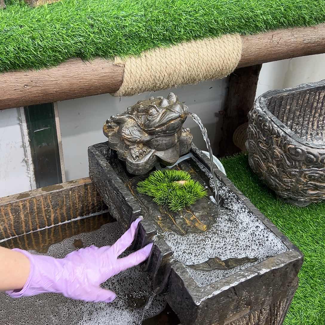 三口孤品+Y6-09不带盆