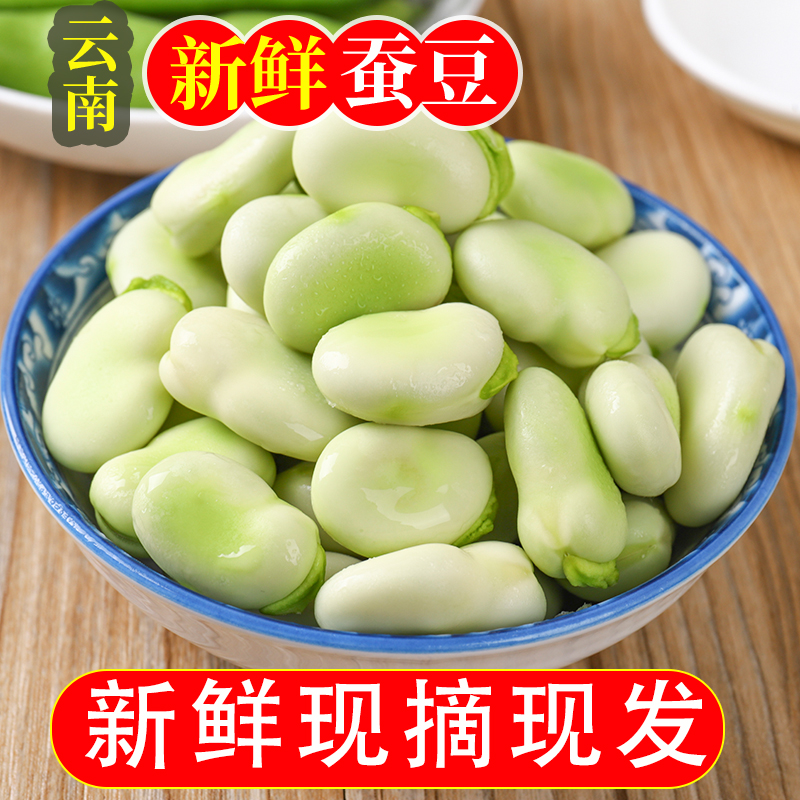 云南新鲜蚕豆 农家蚕豆应当季蔬菜胡豆兰花豆荚罗汉豆带壳