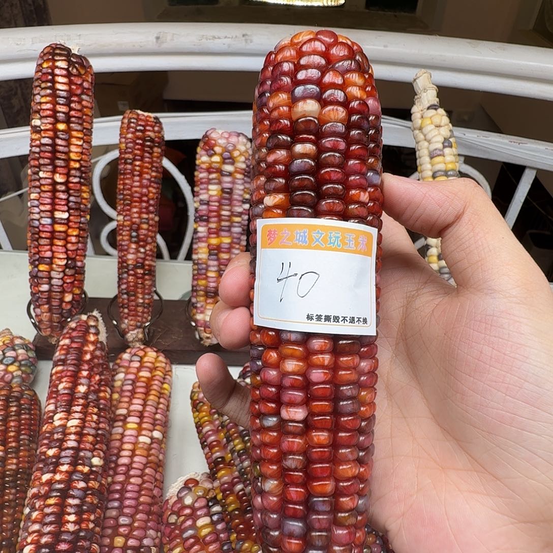 音***e大叶紫檀（黑酸枝木类）