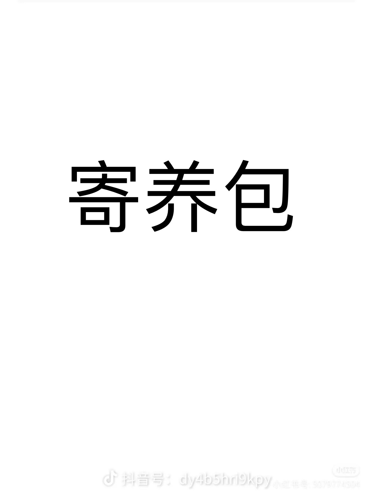 寄养包，长期寄养拍