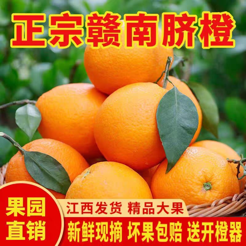 【特惠混合装】正宗江西赣州赣南脐橙当季应季生鲜水果甜橙子十斤装