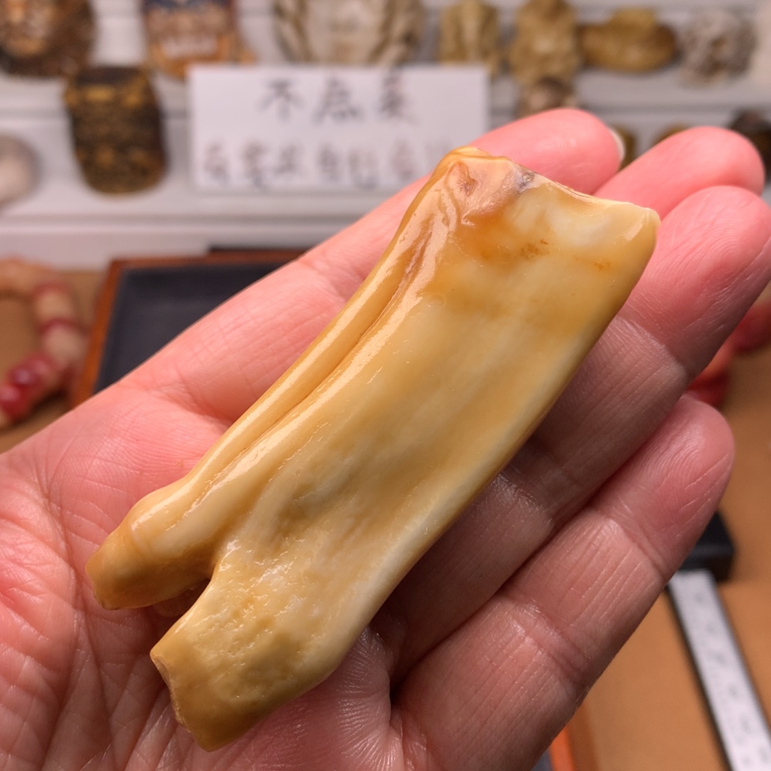 驼骨摆件天天都在盘 
