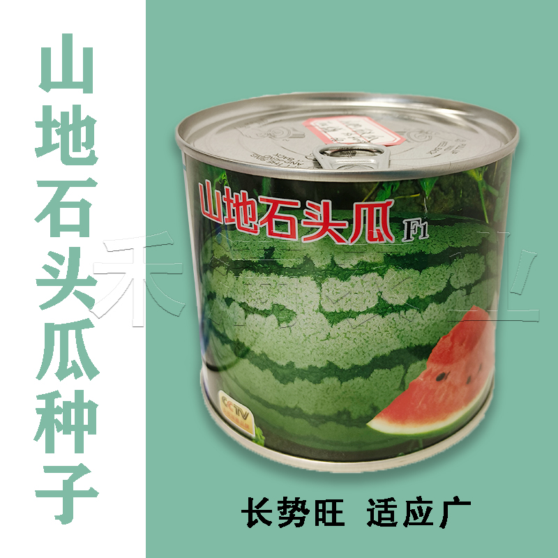 山地石头瓜西瓜种子  懒汉瓜王西瓜种籽抗重茬耐贮运特大瓜果种孑
