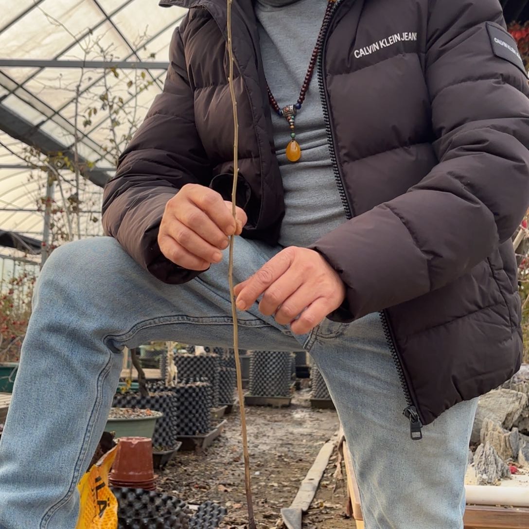 处*器哈哈哈哈哈哈紫时雨