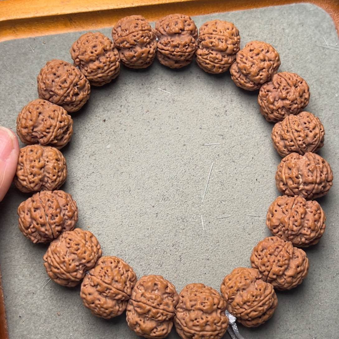 菩提13号金刚菩提安娜梅花手持23