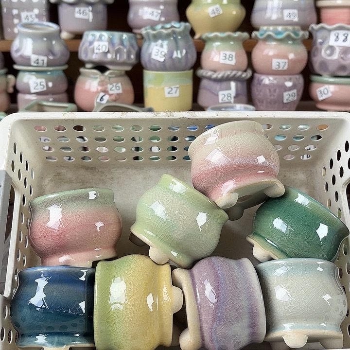 红陶量货/口6-5高6深浅搭配发6