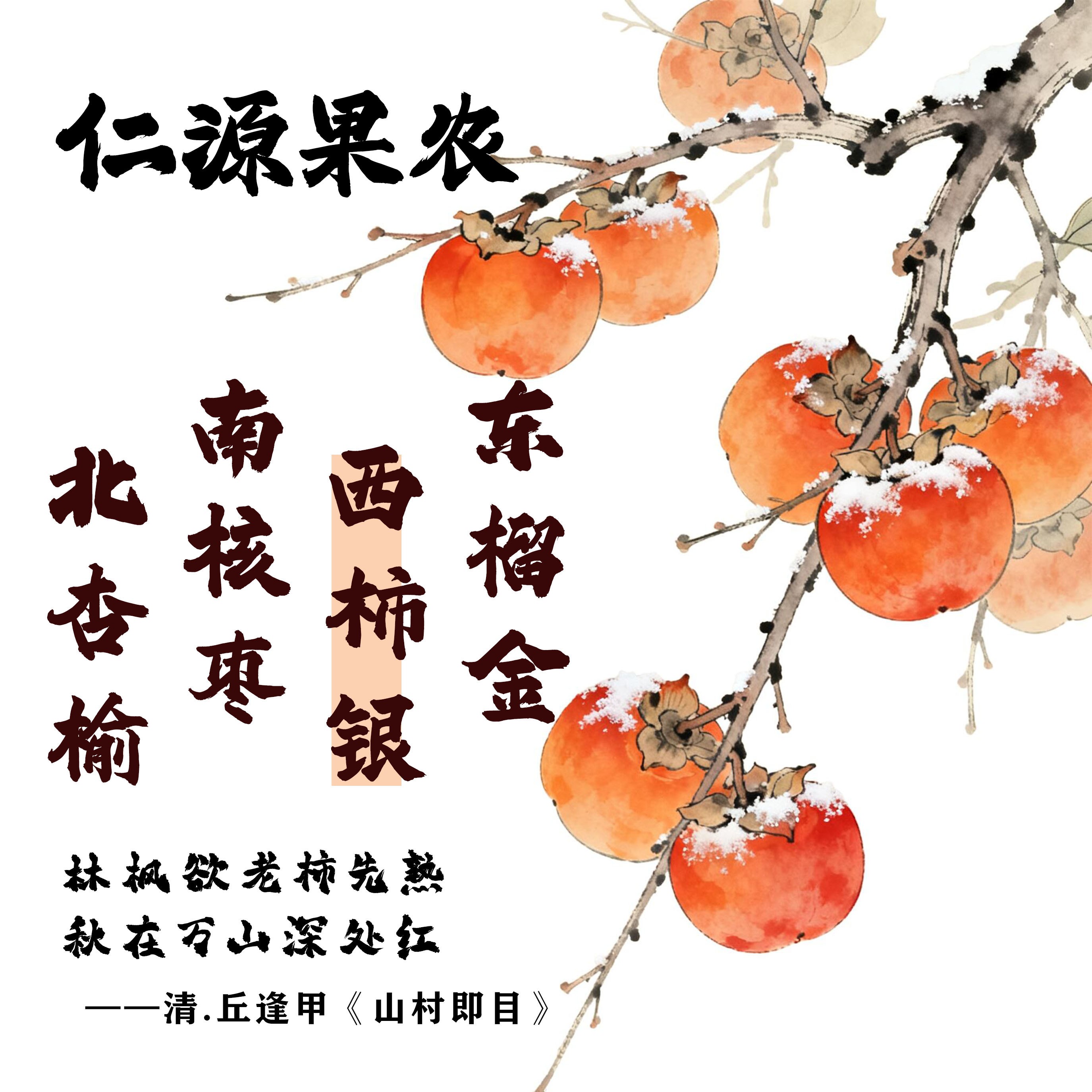 青州传统农家老树吊大果柿饼