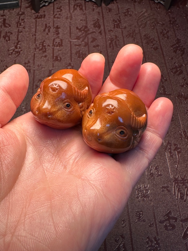 牛小生小源牛宝宝