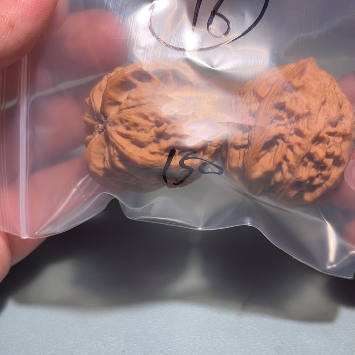 仙****文玩核桃吊坠16呃呃呃呃