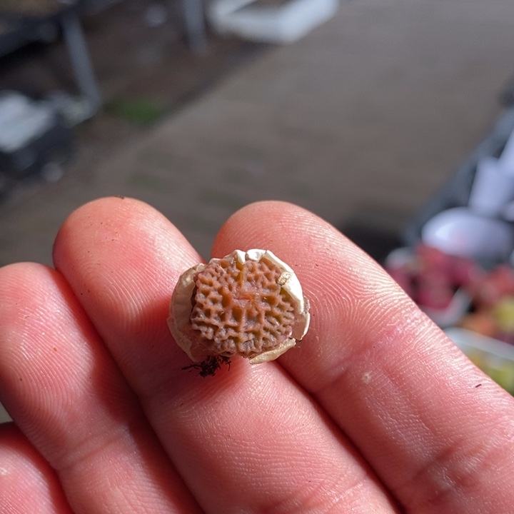 18252一个一个一个