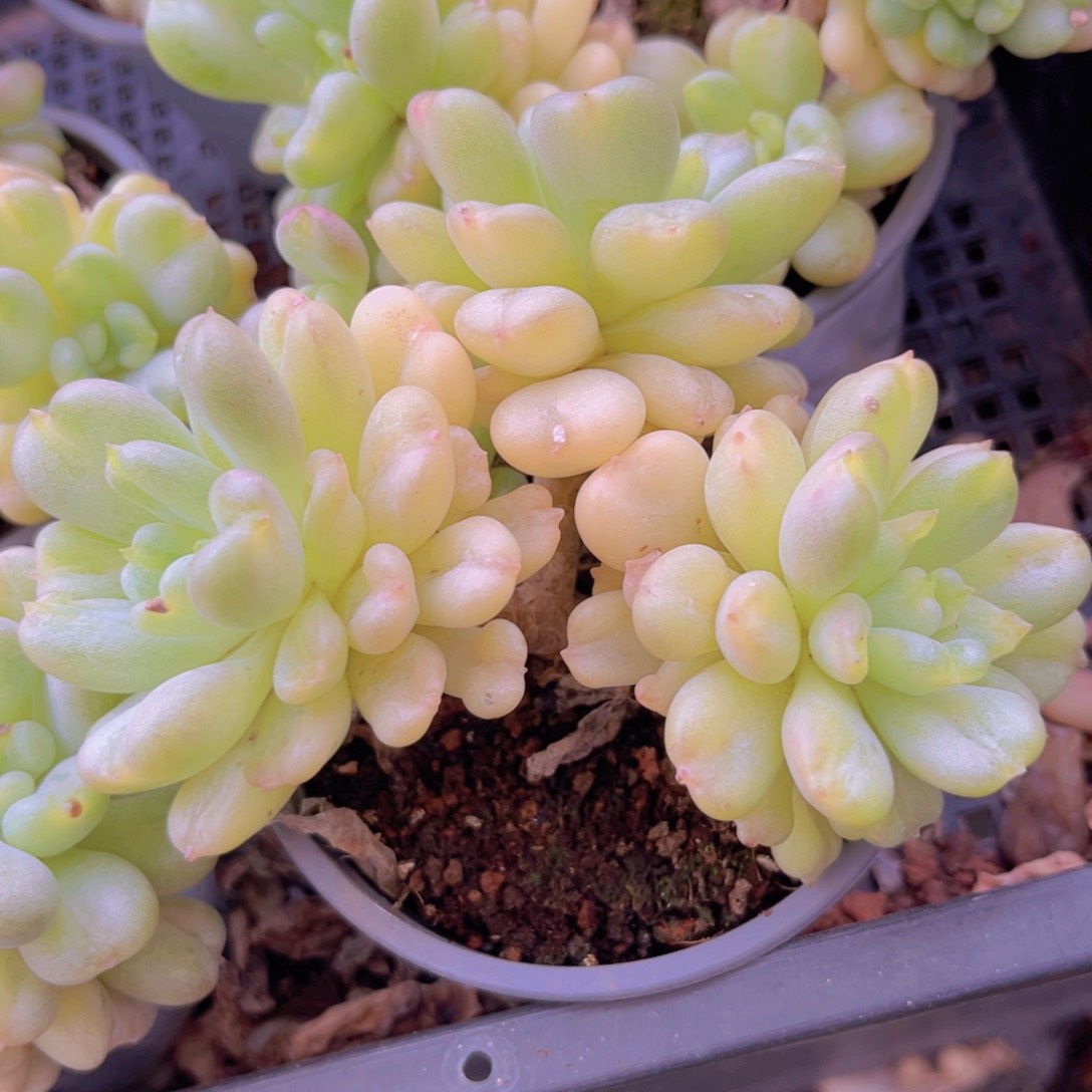 比尔盖茨8898888888888