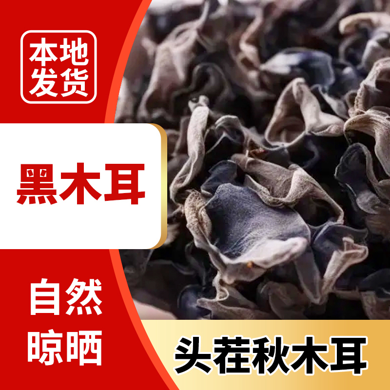 东北特产干货长白山2025年头茬秋耳秋木耳肉厚无根无沙无增重