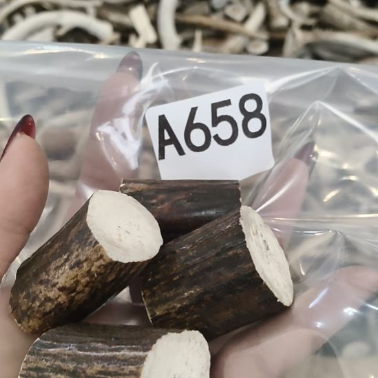 邓***杰鹿角鹿角鹿角鹿角鹿角