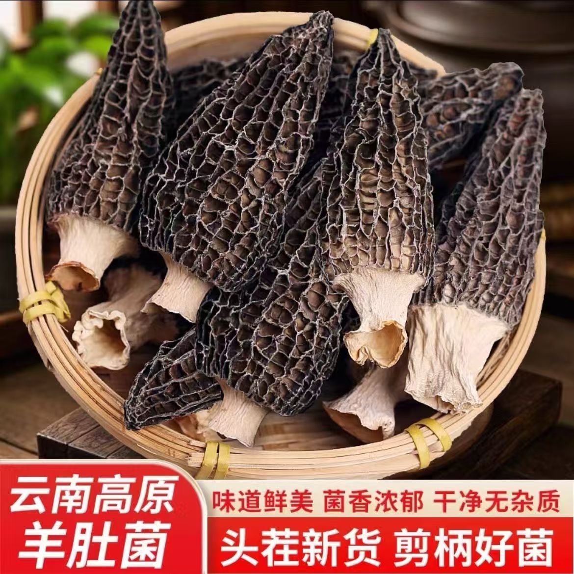 云南高山干货羊肚菌肉厚味鲜煲汤优选农家菌菇