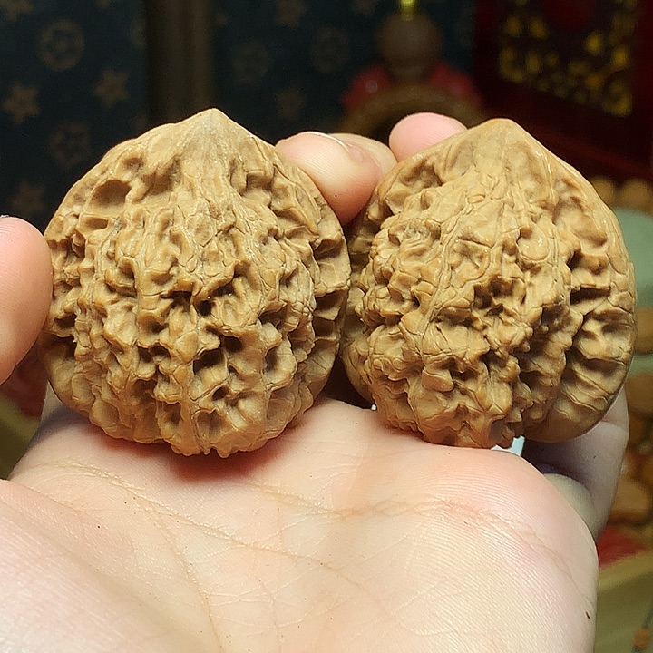 橄榄核手串/手链hjjnbbbhjjnn