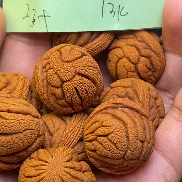 桃核吊坠秦岭龙纹桃23尺寸